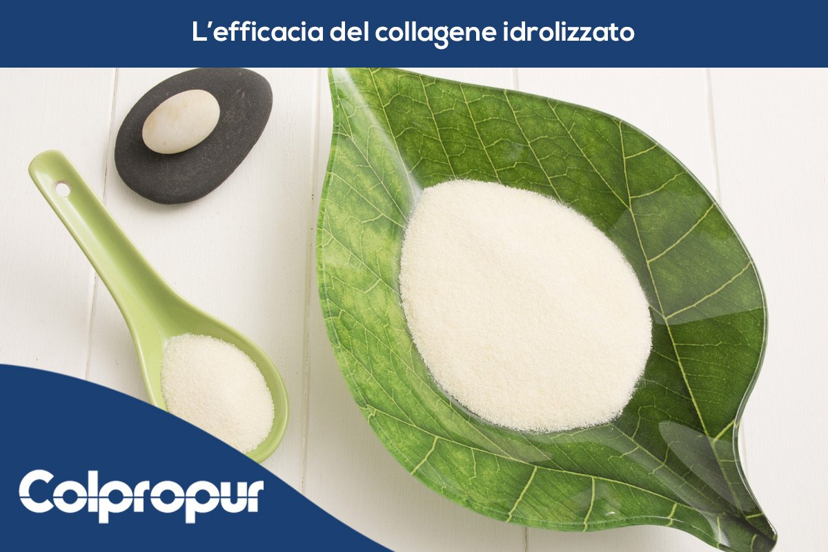 efficacia collagene idrolizzato