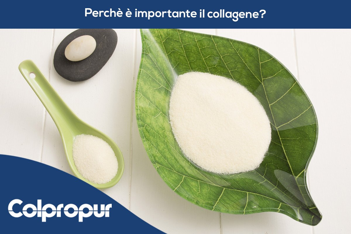 perchè è importante la proteina collagene